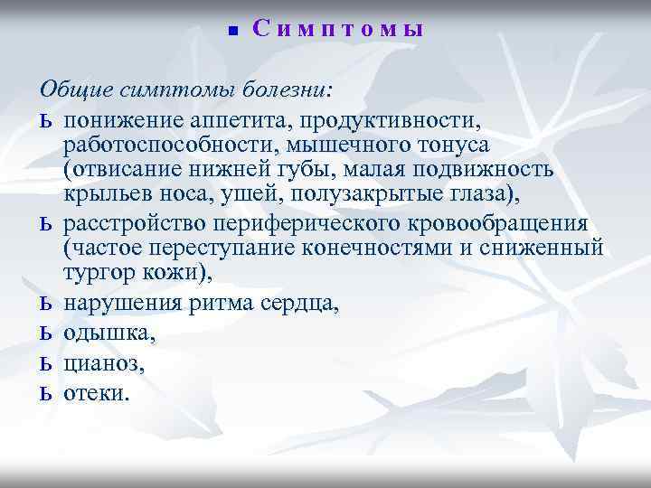 n Симптомы Общие симптомы болезни: ь понижение аппетита, продуктивности, работоспособности, мышечного тонуса (отвисание нижней
