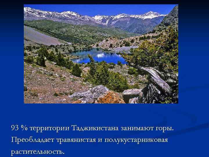 93 % территории Таджикистана занимают горы. Преобладает травянистая и полукустарниковая растительность. 