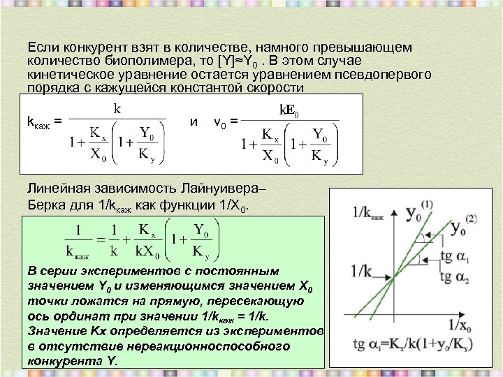 Если конкурент взят в количестве, намного превышающем количество биополимера, то [Y]≈Y 0. В этом