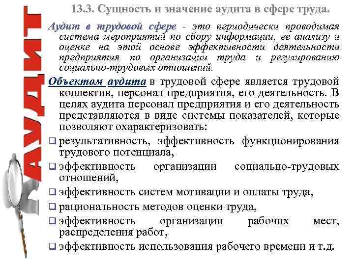 13. 3. Сущность и значение аудита в сфере труда. Аудит в трудовой сфере -