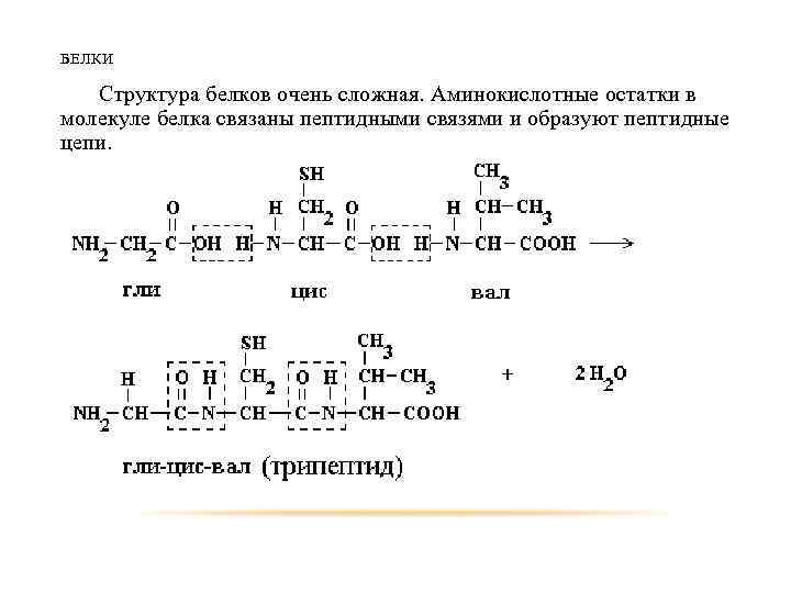 Аминокислотные остатки в белках