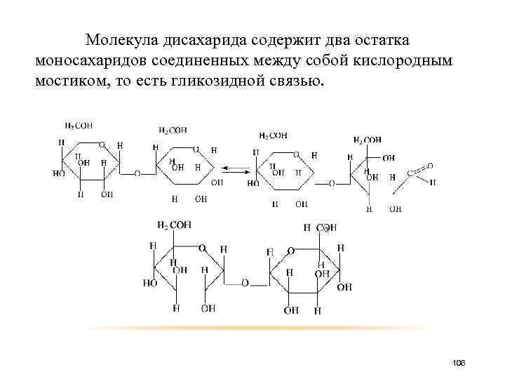 Молекула дисахарида содержит два остатка моносахаридов соединенных между собой кислородным мостиком, то есть гликозидной