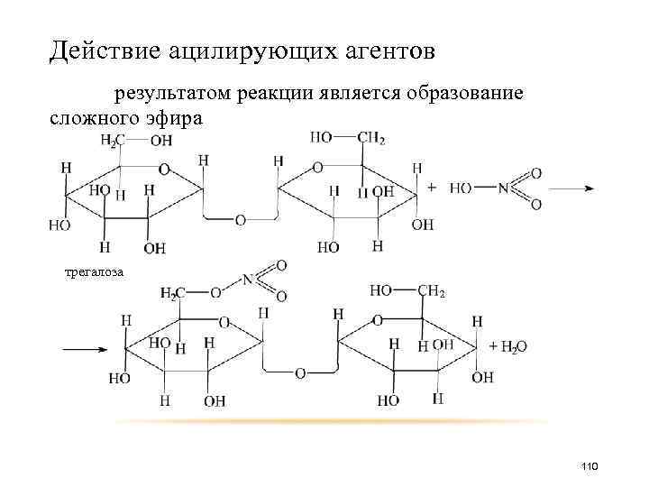 Действие ацилирующих агентов результатом реакции является образование сложного эфира трегалоза 110 