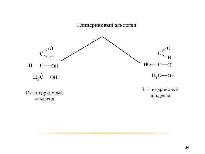 Глицериновый альдегид D-глицериновый альдегид L-глицериновый альдегид 24 