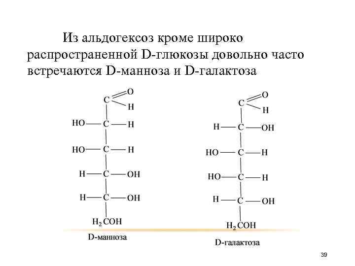 Из альдогексоз кроме широко распространенной D-глюкозы довольно часто встречаются D-манноза и D-галактоза 39 