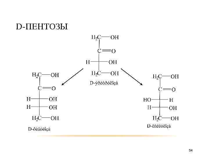 D-ПЕНТОЗЫ 54 