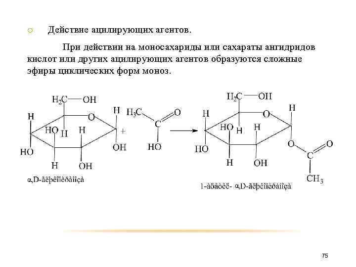 o Действие ацилирующих агентов. При действии на моносахариды или сахараты ангидридов кислот или других