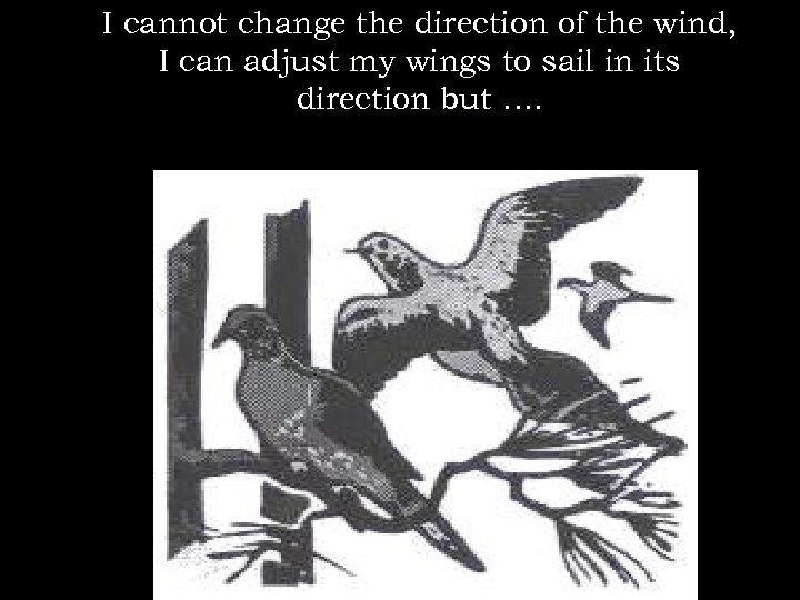 I cannot change the direction of the wind, I can adjust my wings to