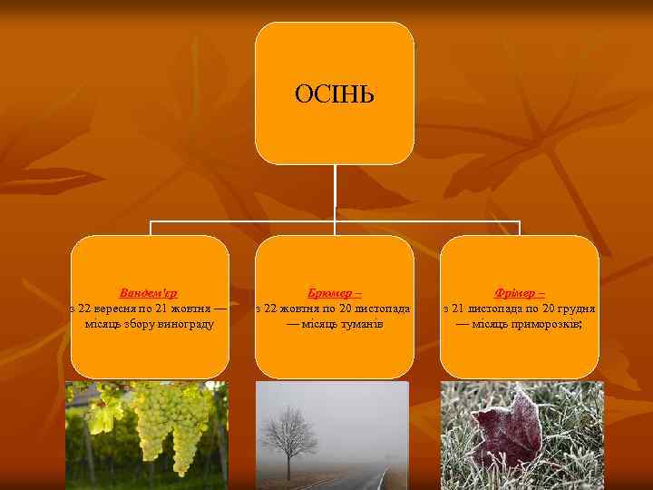 ОСІНЬ Вандем'єр з 22 вересня по 21 жовтня — місяць збору винограду Брюмер –