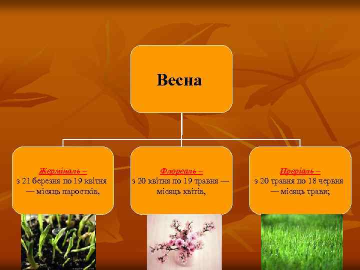 Весна Жерміналь – з 21 березня по 19 квітня — місяць паростків, Флореаль –