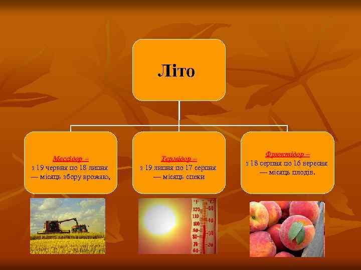 Літо Мессідор – з 19 червня по 18 липня — місяць збору врожаю, Термідор