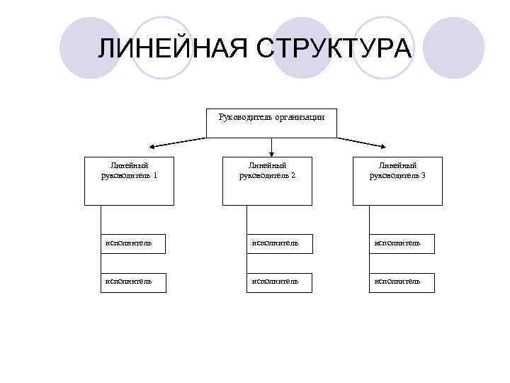 Структура руководителя