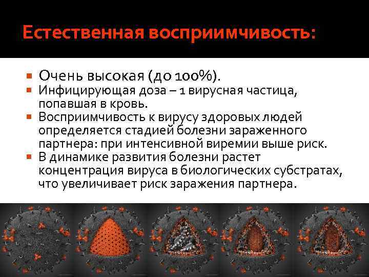 Естественная восприимчивость: Очень высокая (до 100%). Инфицирующая доза – 1 вирусная частица, попавшая в