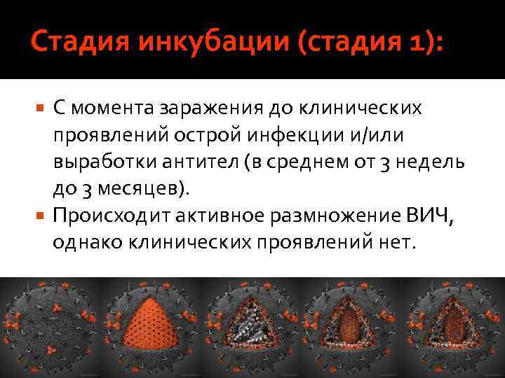 Стадия инкубации (стадия 1): С момента заражения до клинических проявлений острой инфекции и/или выработки