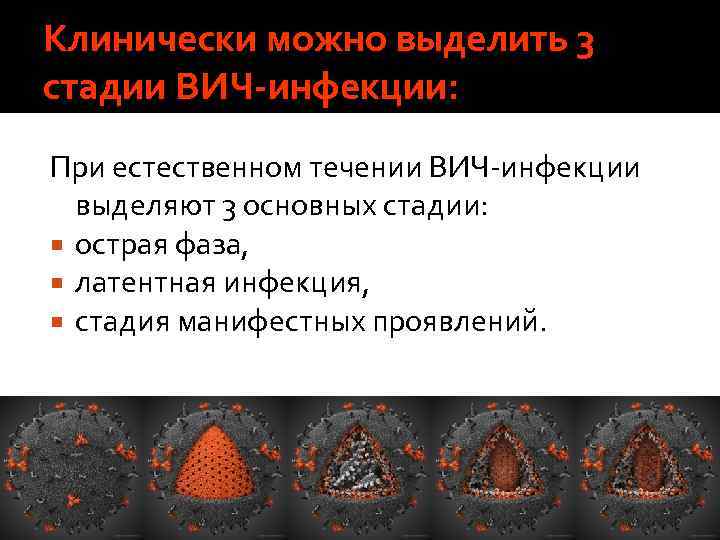 Клинически можно выделить 3 стадии ВИЧ-инфекции: При естественном течении ВИЧ инфекции выделяют 3 основных