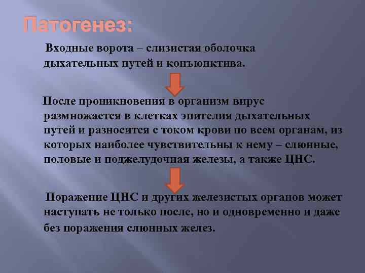 Патогенез: Входные ворота – слизистая оболочка дыхательных путей и конъюнктива. После проникновения в организм