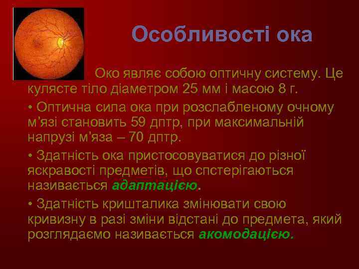 Особливості ока • Око являє собою оптичну систему. Це кулясте тіло діаметром 25 мм