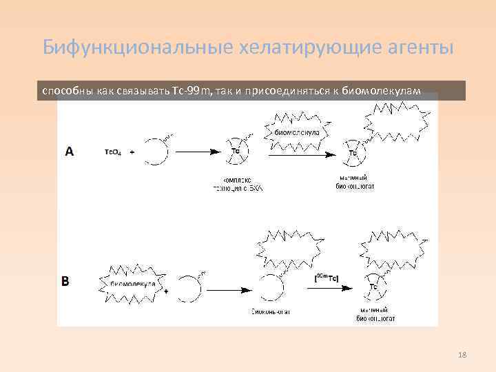 Бифункциональные хелатирующие агенты способны как связывать Тс-99 m, так и присоединяться к биомолекулам 18