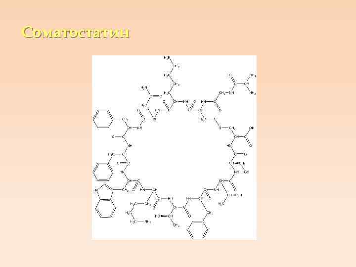 Соматостатин 
