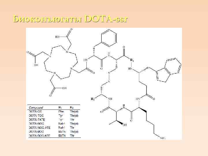 Биоконъюгаты DOTA-ssr 