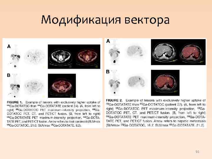 Модификация вектора 91 