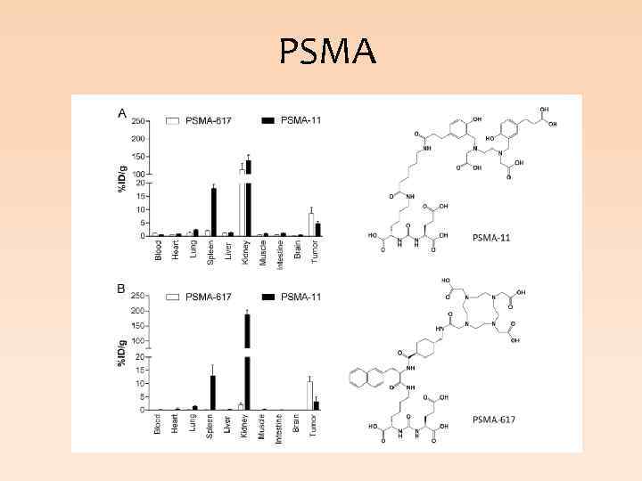 PSMA 