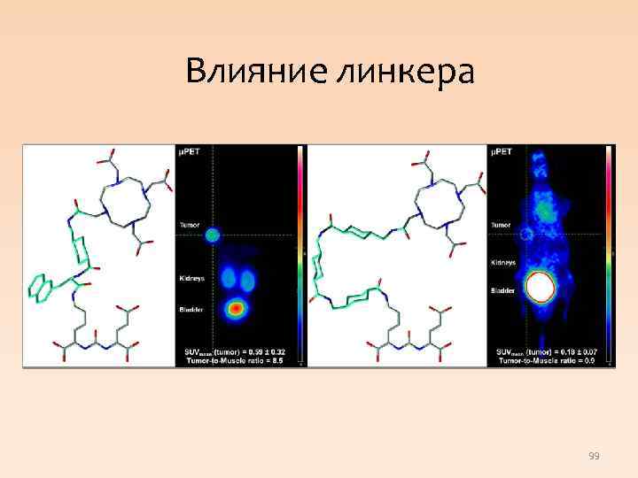 Влияние линкера 99 