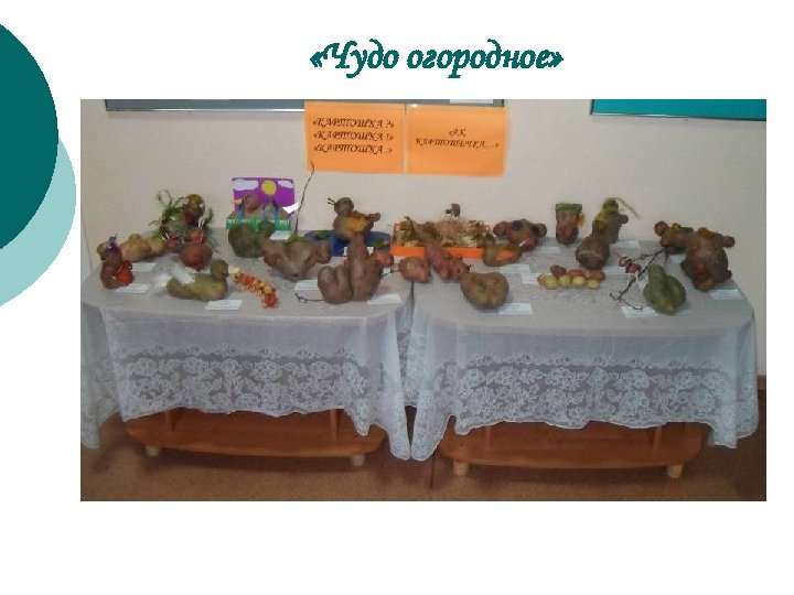  «Чудо огородное» 