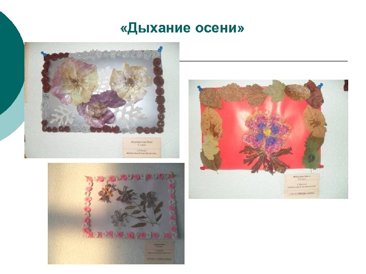  «Дыхание осени» 