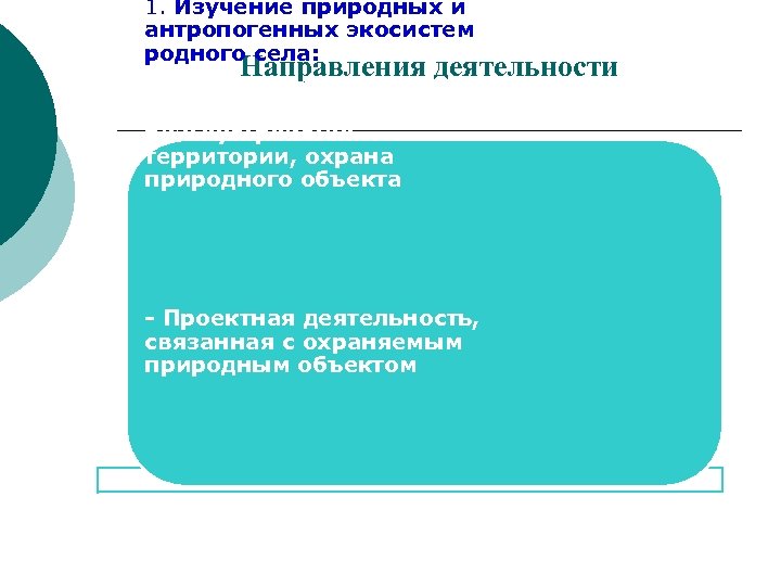1. Изучение природных и антропогенных экосистем родного села: Направления деятельности оз. Терсалгайское, очистка территории,