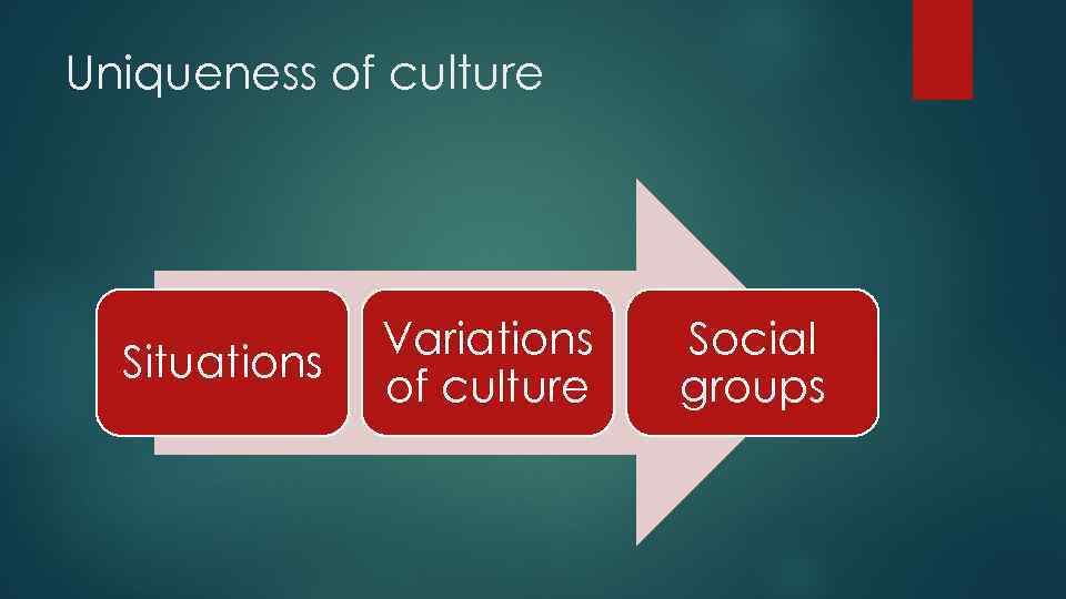Uniqueness of culture Situations Variations of culture Social groups 