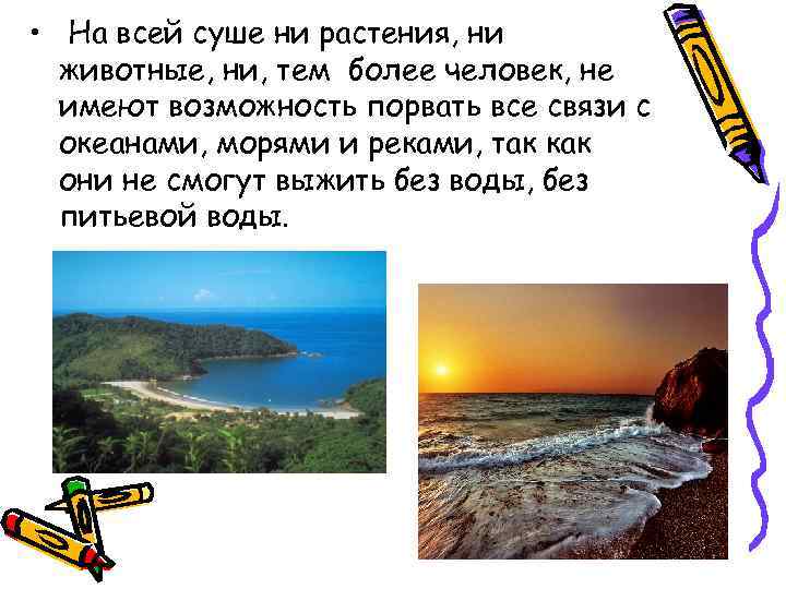  • На всей суше ни растения, ни животные, ни, тем более человек, не