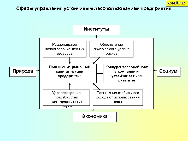 СЛАЙД 11 Сферы управления устойчивым лесопользованием предприятия Институты Рациональное использование лесных ресурсов Природа Повышение