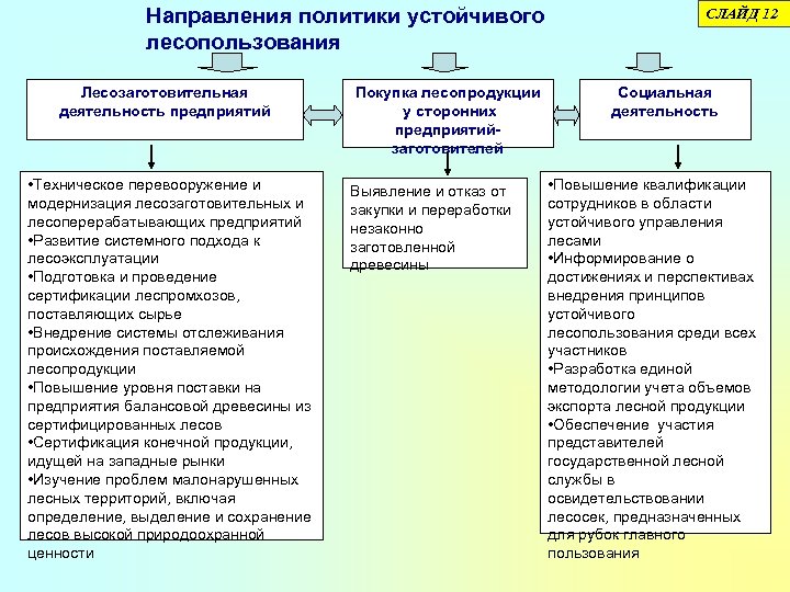 Направления политики устойчивого лесопользования Лесозаготовительная деятельность предприятий • Техническое перевооружение и модернизация лесозаготовительных и