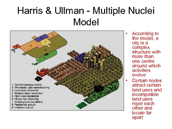 Harris & Ullman - Multiple Nuclei Model • According to the model, a city