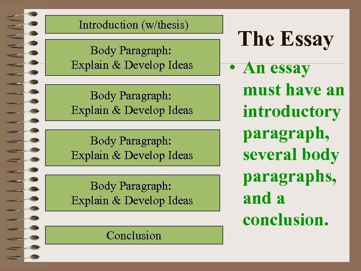 Introduction (w/thesis) Body Paragraph: Explain & Develop Ideas Conclusion The Essay • An essay