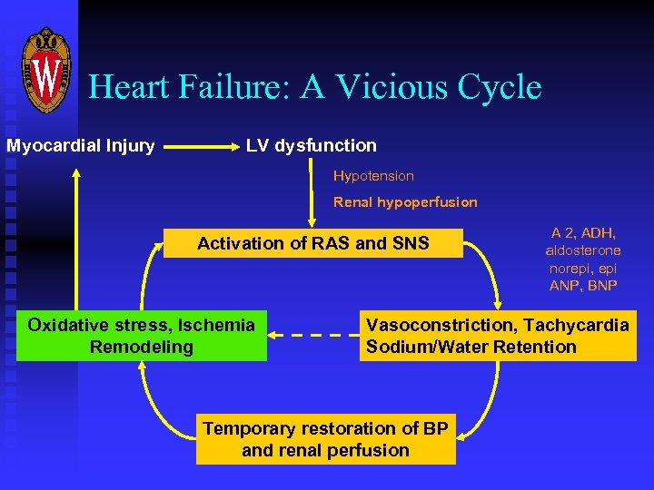 Heart Failure: A Vicious Cycle Myocardial Injury LV dysfunction Hypotension Renal hypoperfusion Activation of