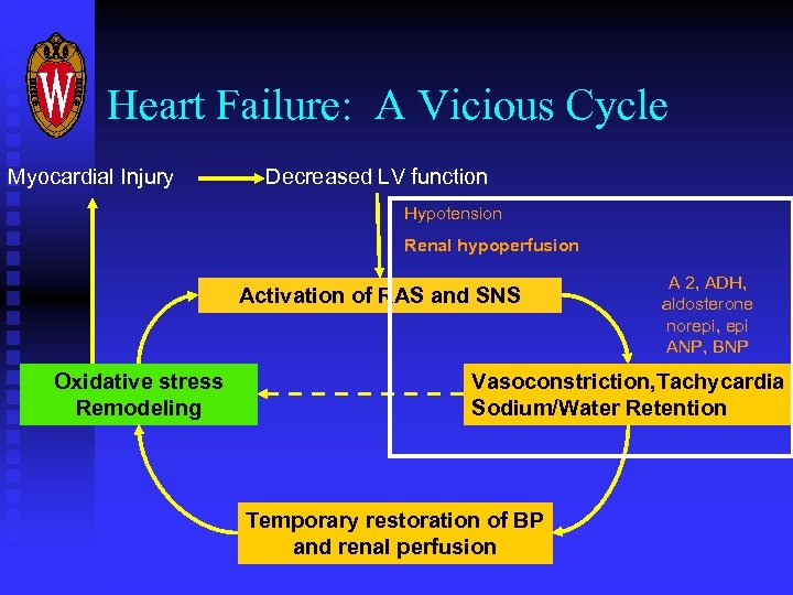 Heart Failure: A Vicious Cycle Myocardial Injury Decreased LV function Hypotension Renal hypoperfusion Activation