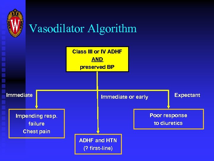 Vasodilator Algorithm Class III or IV ADHF AND preserved BP Immediate or early Expectant