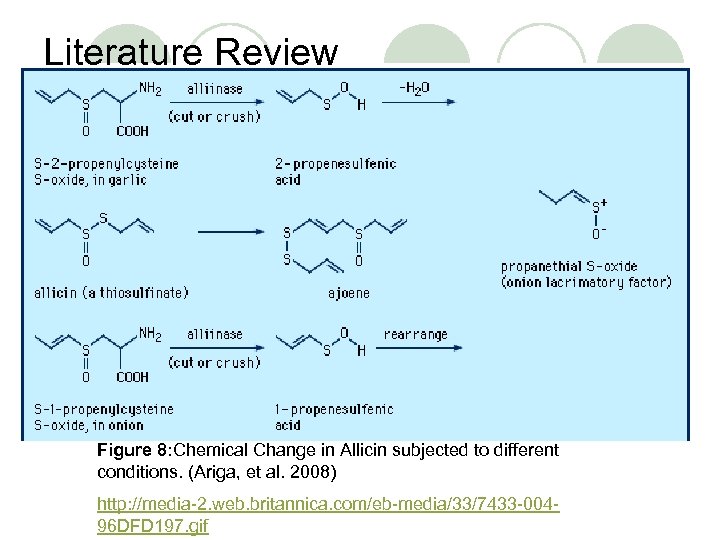 Literature Review Figure 8: Chemical Change in Allicin subjected to different conditions. (Ariga, et