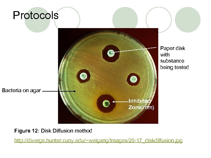 Protocols Paper disk with substance being tested Bacteria on agar Inhibited Zone(mm) Figure 12: