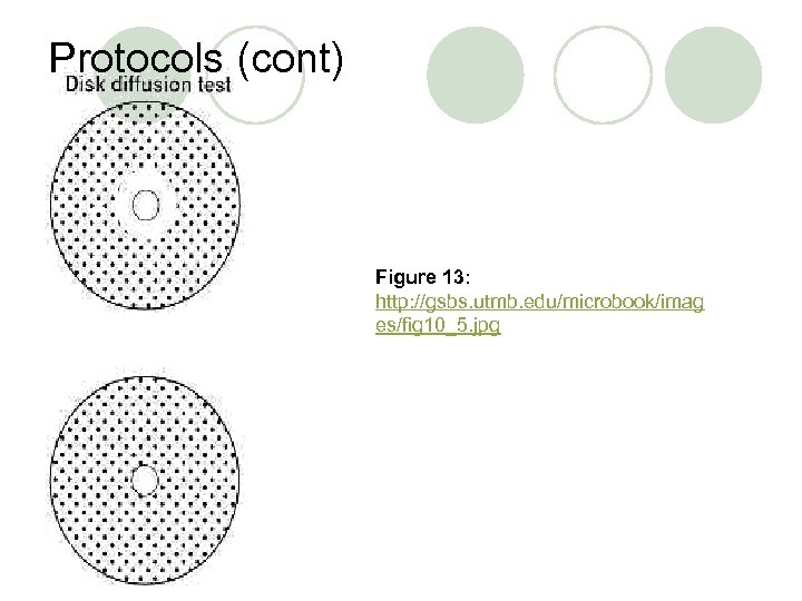 Protocols (cont) Figure 13: http: //gsbs. utmb. edu/microbook/imag es/fig 10_5. jpg 