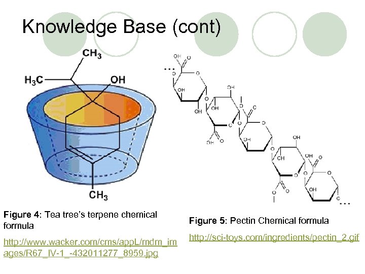 Knowledge Base (cont) Figure 4: Tea tree’s terpene chemical formula http: //www. wacker. com/cms/app.