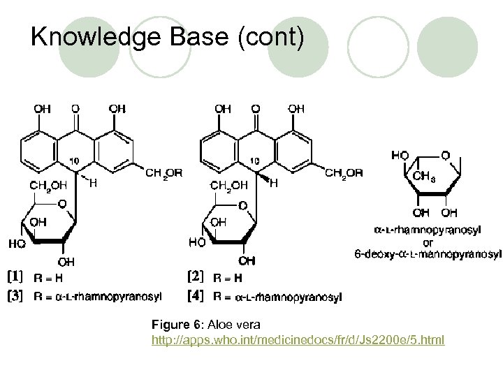 Knowledge Base (cont) Figure 6: Aloe vera http: //apps. who. int/medicinedocs/fr/d/Js 2200 e/5. html