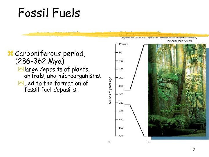 Fossil Fuels z Carboniferous period, (286 -362 Mya) y large deposits of plants, animals,