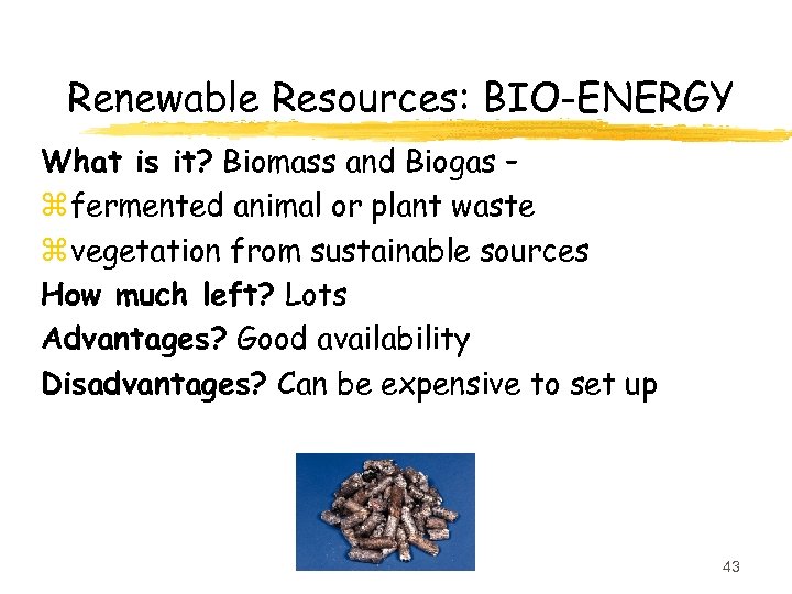 Renewable Resources: BIO-ENERGY What is it? Biomass and Biogas – z fermented animal or