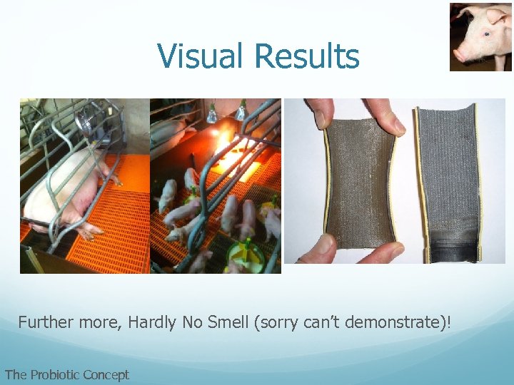Visual Results Further more, Hardly No Smell (sorry can’t demonstrate)! The Probiotic Concept 