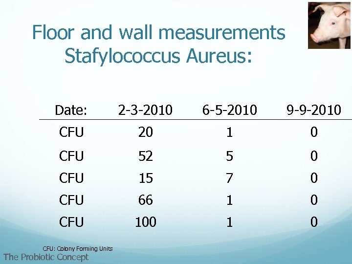 Floor and wall measurements Stafylococcus Aureus: Date: 2 -3 -2010 6 -5 -2010 9