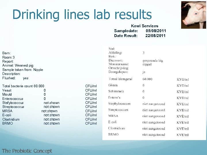 Drinking lines lab results Kewi Services Sampledate: 05/08/2011 Date Result: 22/08/2011 Barn: Room: 3