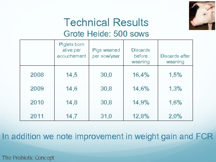 Technical Results Grote Heide: 500 sows Piglets born alive per acouchement Pigs weaned per
